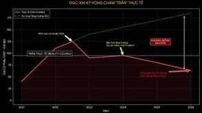DGC: Khi Kỳ Vọng Tăng Trưởng Chạm "Trần" Thực Tế - Một Sự Định Giá Lại Đầy Đau Đớn