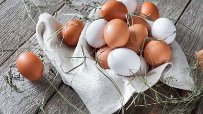 Đa dạng hóa danh mục không thể bảo vệ bạn