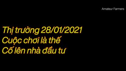 Thị trường ngày 28/01/2021 - Cuộc chơi là thế, chứng khoán là thế, không phải nơi than khóc