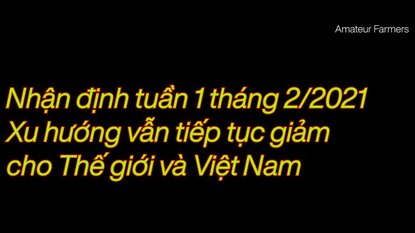 Chứng khoán tuần 01/02 - 05/02/2021 - VNINDEX đang hồi kỹ thuật, nhịp giảm vẫn còn phía trước
