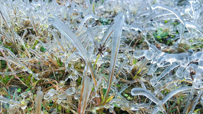 Ngắm tuyết Sapa đầu năm 2021