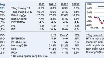 HT1 - Chi phí lãi vay giảm hỗ trợ tăng trưởng EPS năm 2021