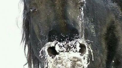 Danh mục chứng khoán 29/12/2021 - Ngựa tốt là ngựa đi được đường dài