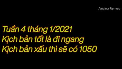 Nhận định thị trường chứng khoán tuần 25/01-29/01/2021 - Đến lúc nghỉ tết?
