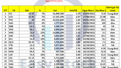 Danh mục chứng khoán 07/01/2022: Liệu OIL&GAS có thể hồi phục