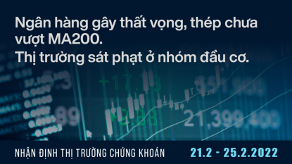 Thị trường chứng khoán tuần 21 - 25/02/2022: Bank gây thất vọng, NKG mạnh, GAS, REE, GMD, GEG...