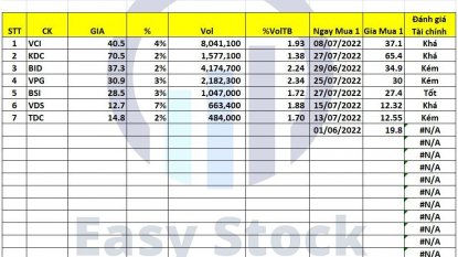 Danh mục chứng khoán 29/07/2022