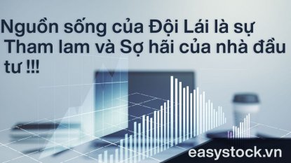 Tham lam và sợ hãi làm nên các đội lái chứng khoán