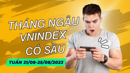 Ý TƯỞNG THỊ TRƯỜNG CHỨNG KHOÁN 21-25/08/2023: THÁNG 7 MƯA NGÂU LIỆU VNINDEX CÓ SẦU