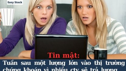 Ý tưởng giao dịch chứng khoán trong tuần mới 27/03/2023 - 31/03/2023: Những cơ hội đáng chú ý.