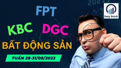 Ý TƯỞNG THỊ TRƯỜNG CHỨNG KHOÁN CUỐI THÁNG 8/2023: SỰ PHÂN HÓA DÒNG CỔ PHIẾU VỚI VNINDEX