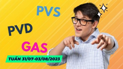 Ý TƯỞNG THỊ TRƯỜNG CHỨNG KHOÁN ĐẦU THÁNG 8/2023: CÂY MUỐN LẶNG MÀ GIÓ CHẲNG NGỪNG